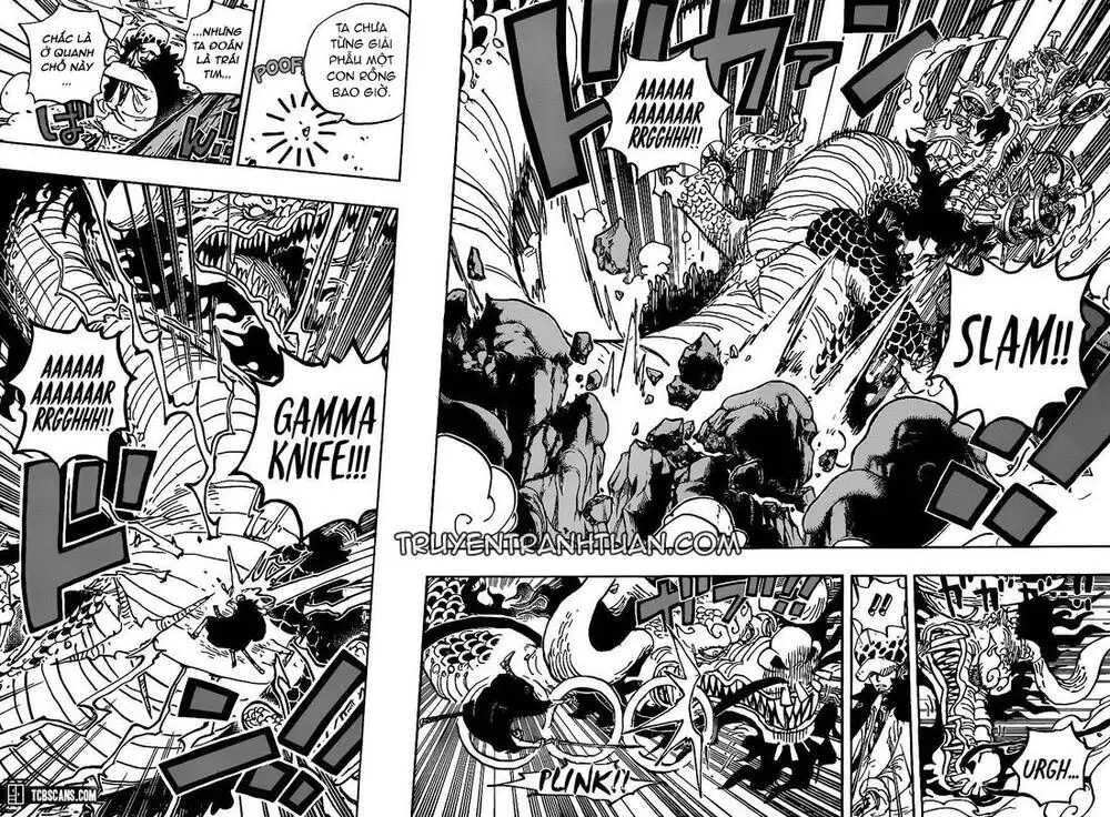 One Piece chương 1002, trang 5
