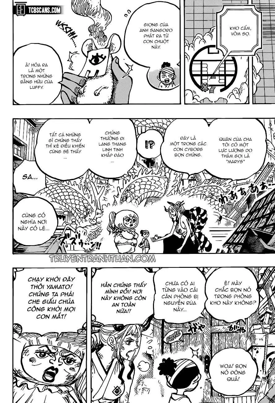 One Piece chương 1005, trang 13
