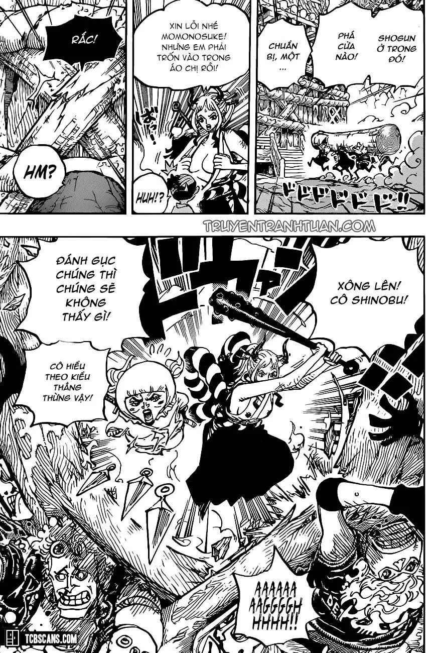 One Piece chương 1005, trang 14