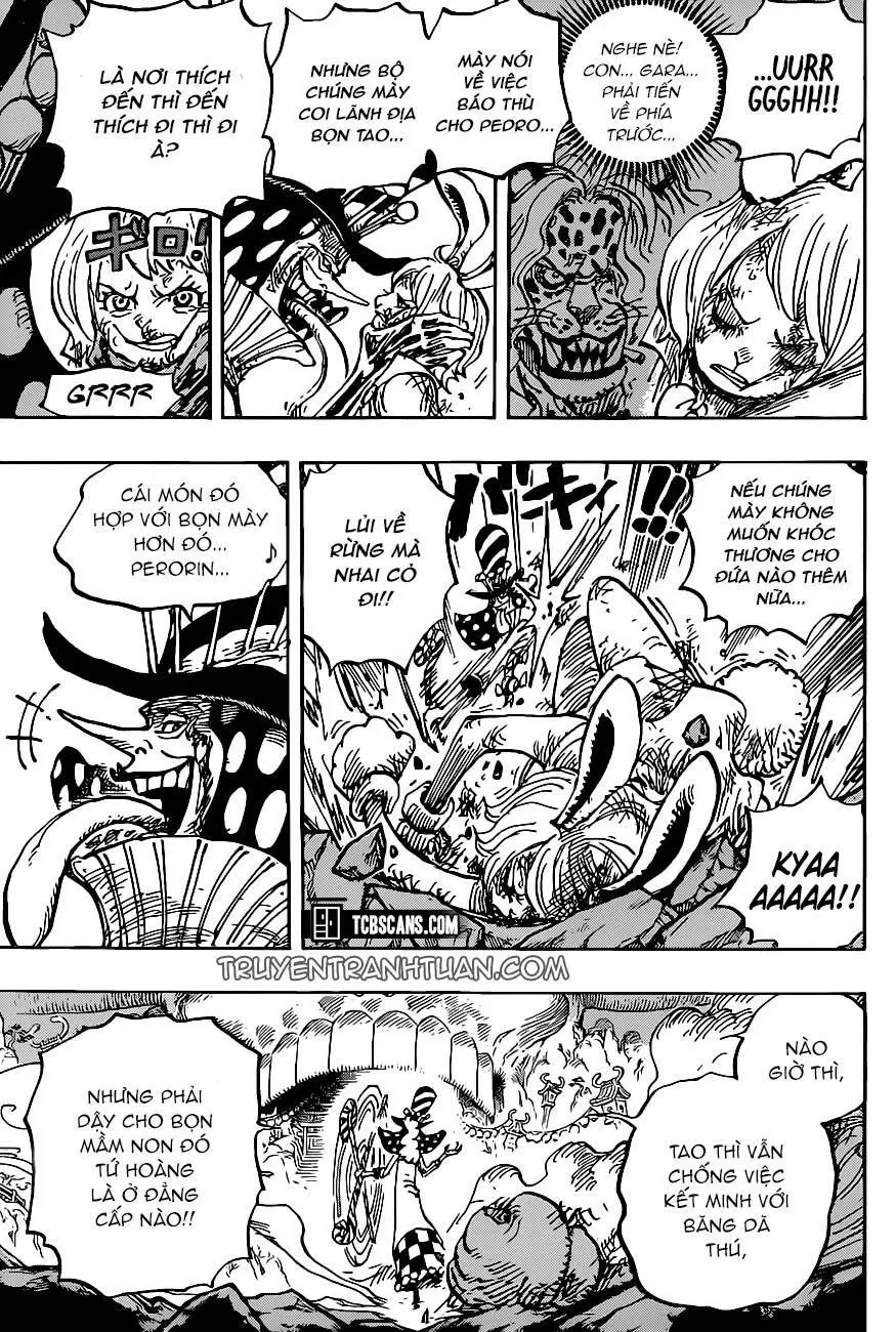 One Piece chương 1006, trang 6