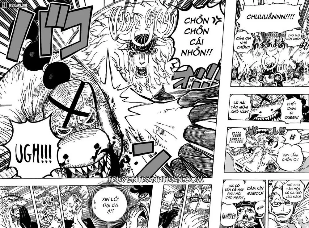 One Piece chương 1007, trang 12