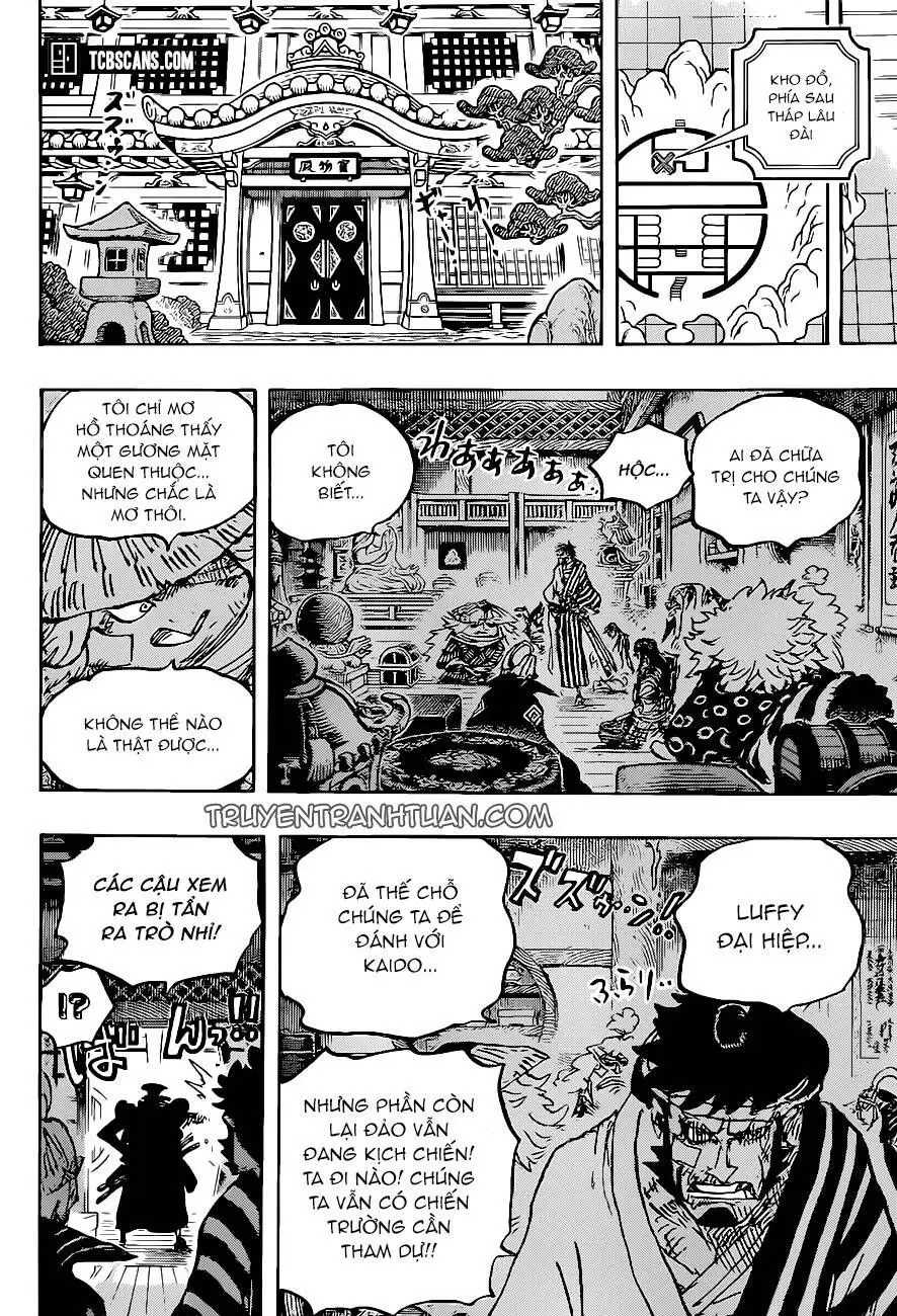 One Piece chương 1007, trang 15
