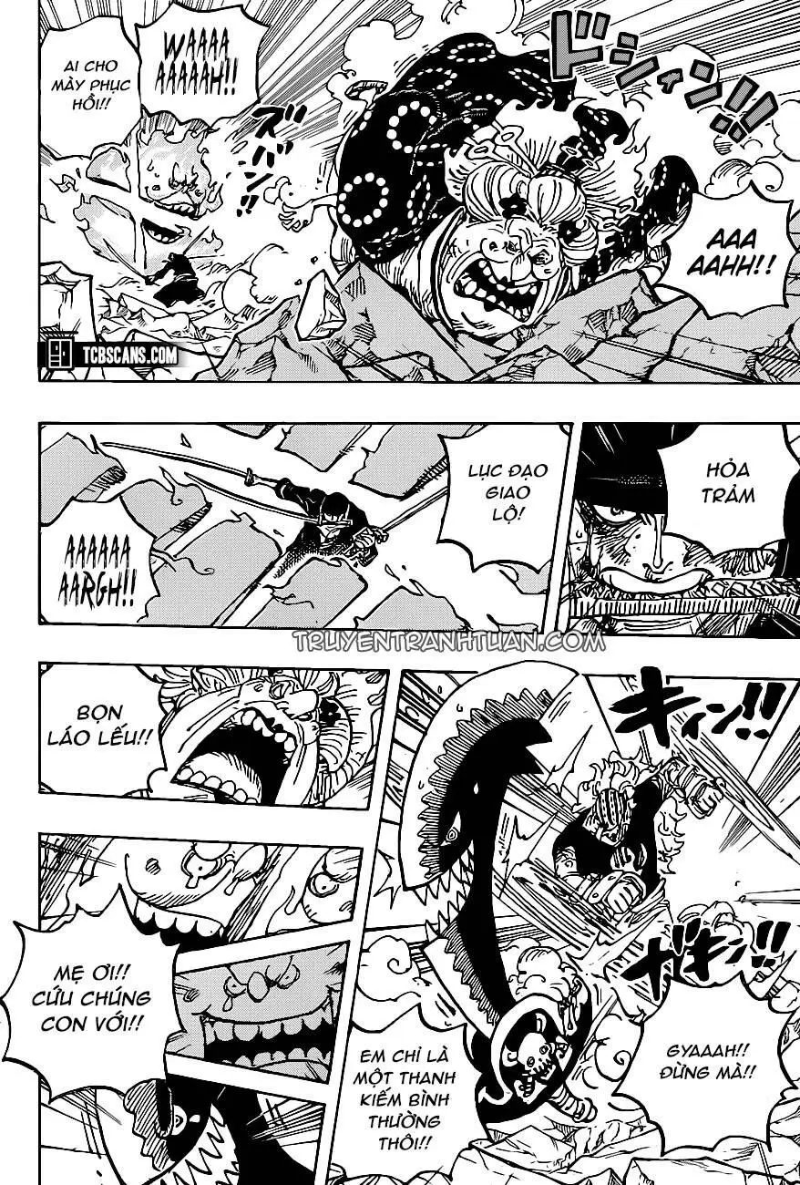 One Piece chương 1009, trang 14