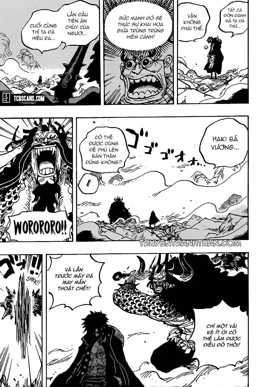 One Piece chương 1010, trang 12