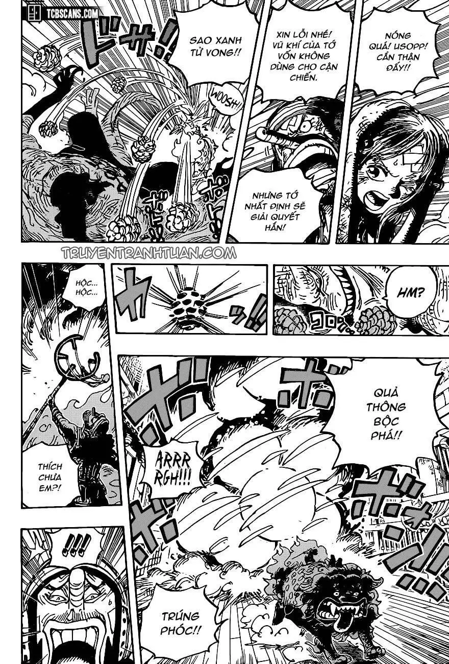 One Piece chương 1011, trang 14