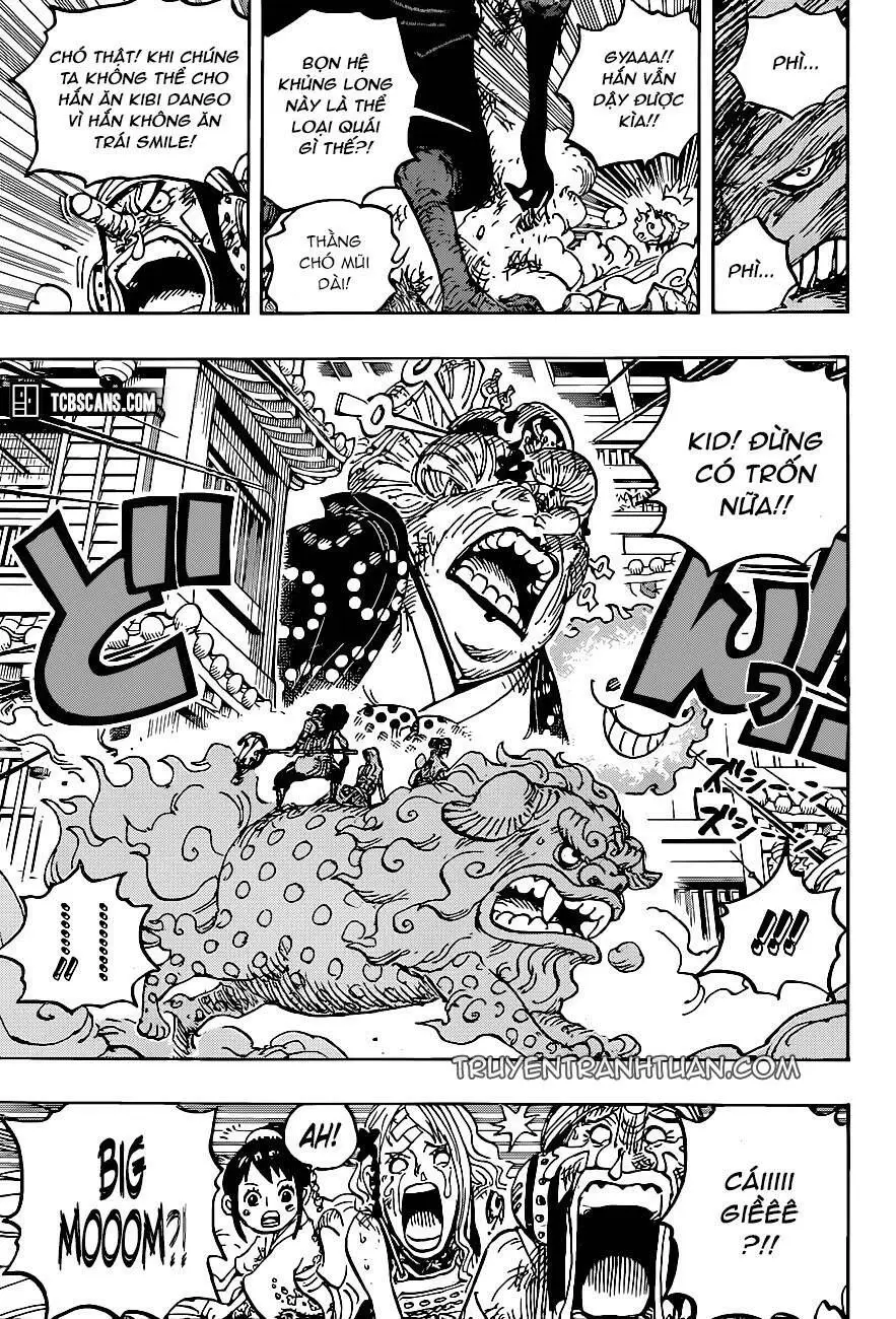 One Piece chương 1011, trang 15