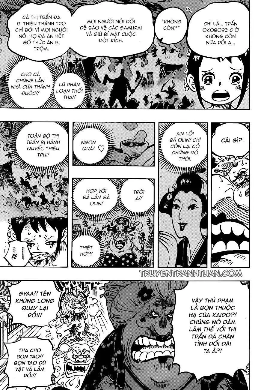 One Piece chương 1011, trang 17