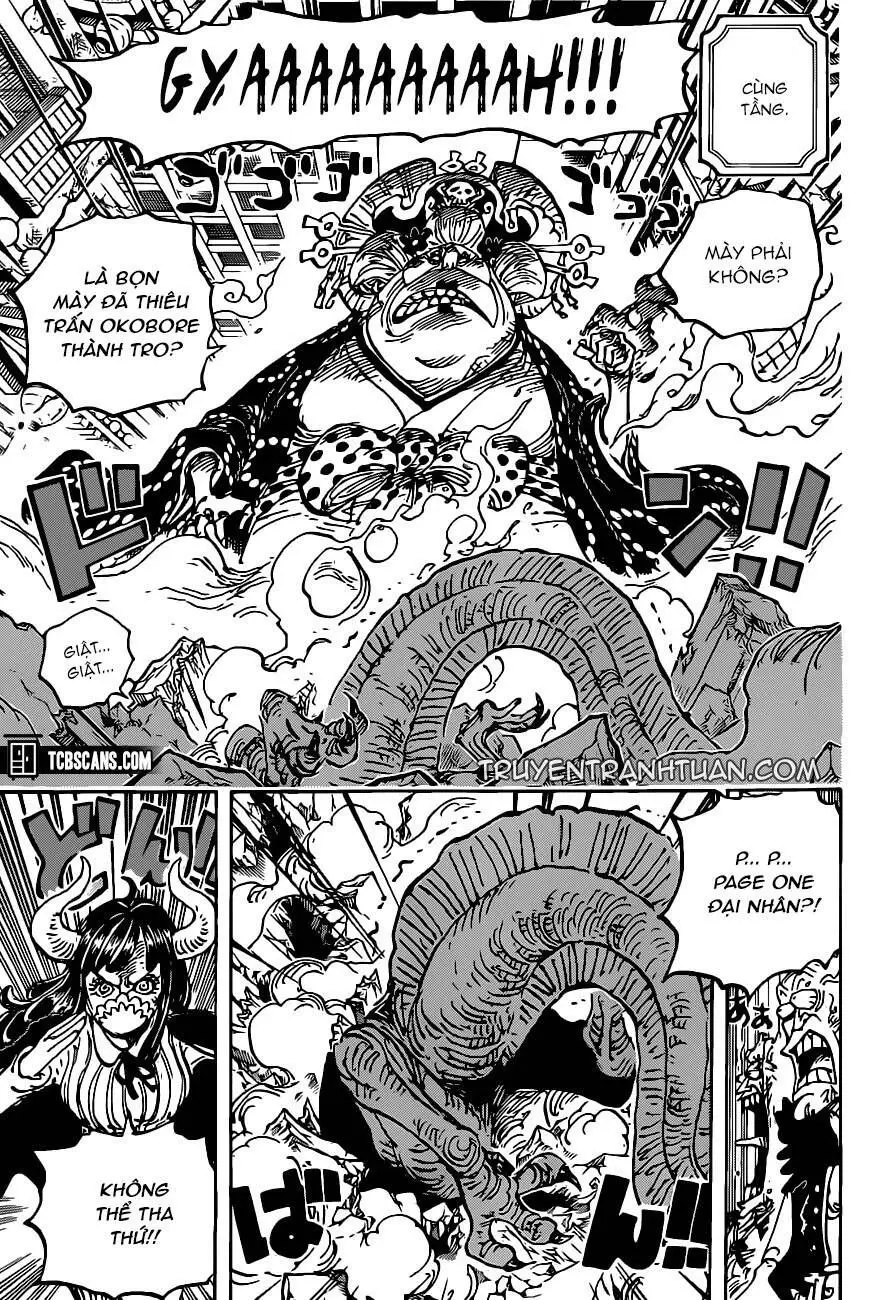 One Piece chương 1012, trang 11