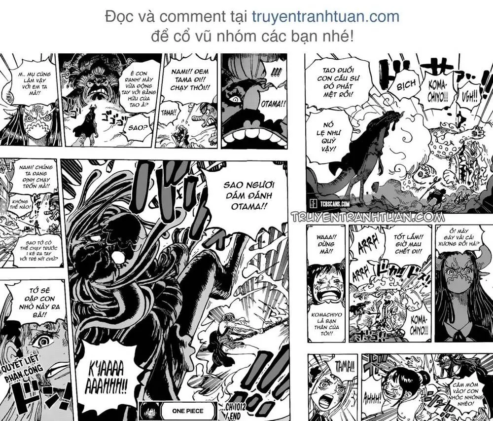 One Piece chương 1012, trang 14