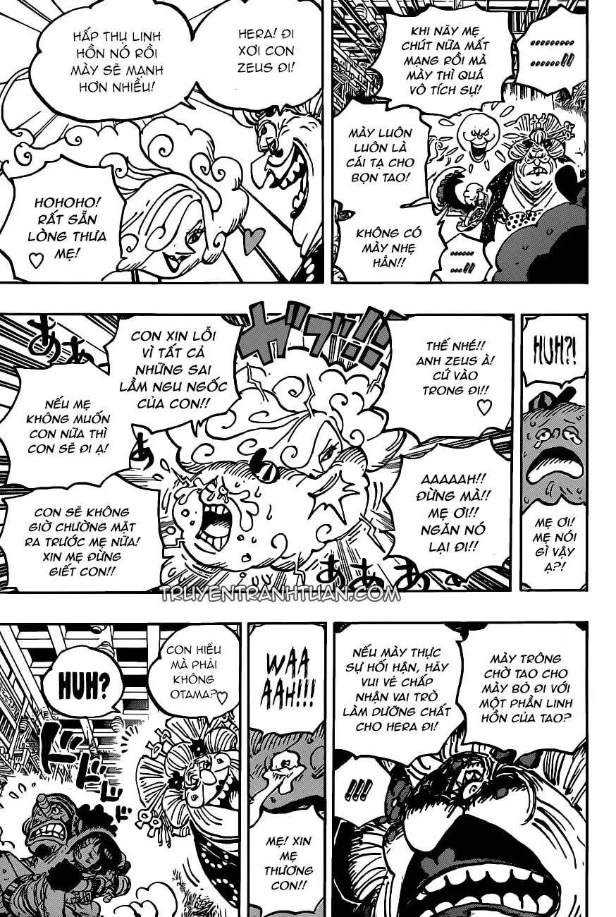 One Piece chương 1013, trang 8