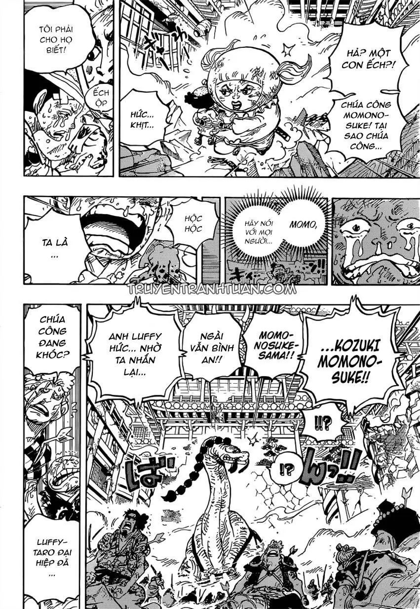 One Piece chương 1015, trang 11