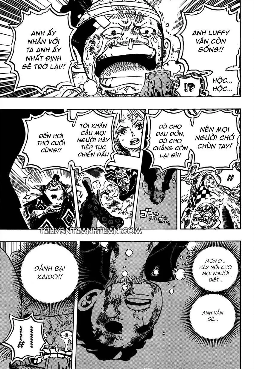 One Piece chương 1015, trang 12