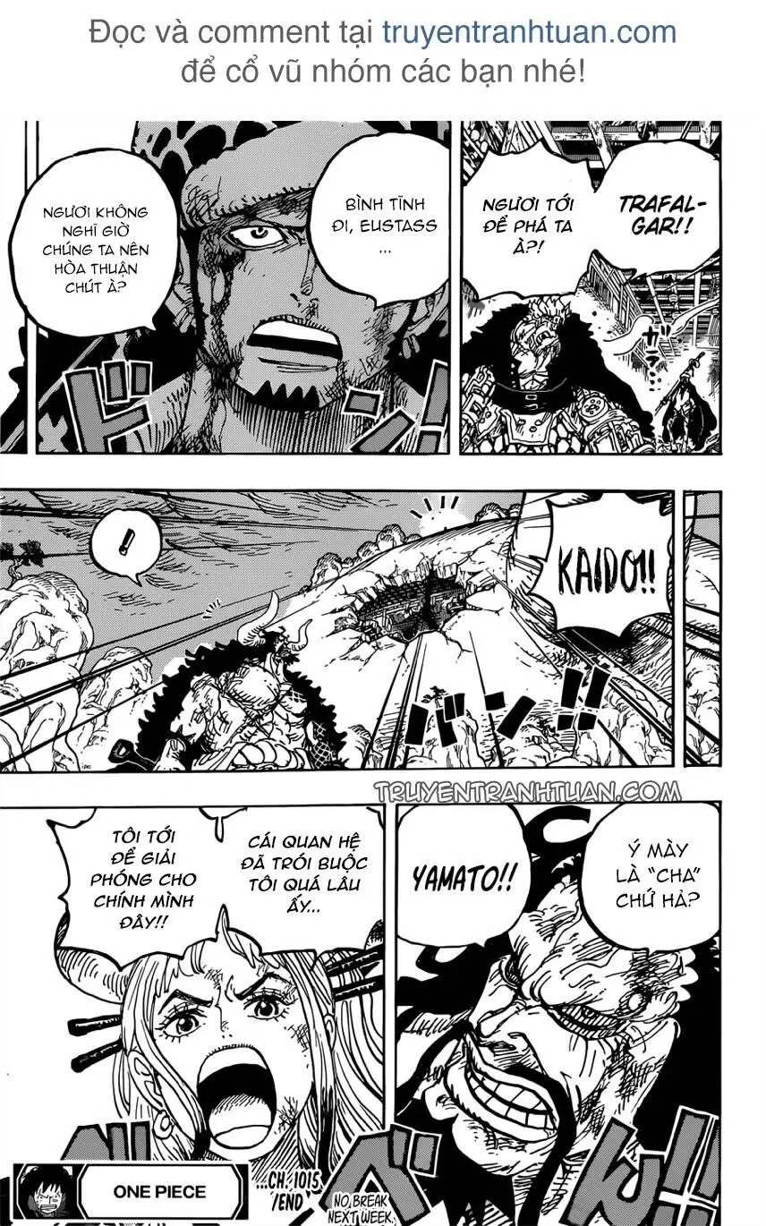 One Piece chương 1015, trang 15