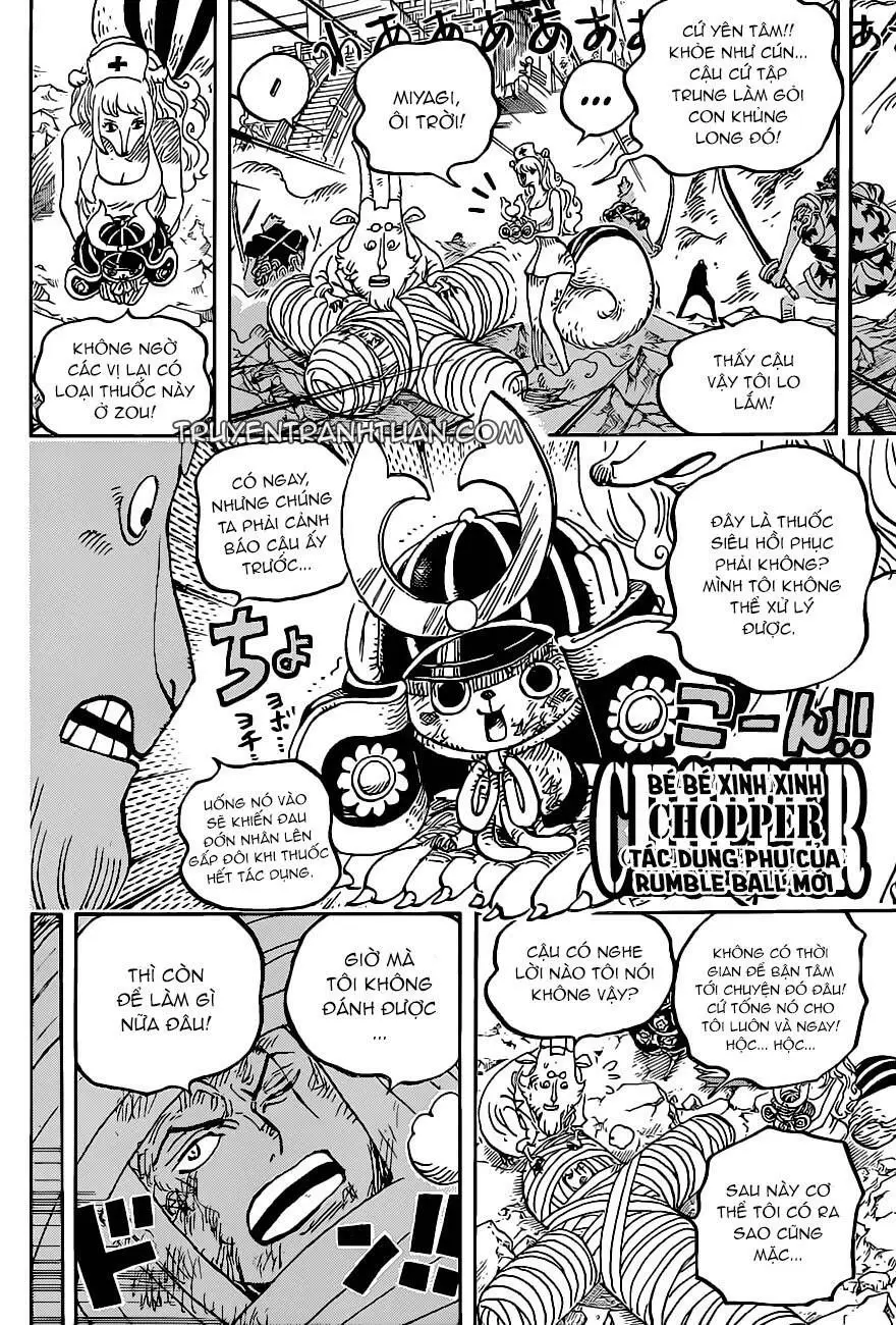 One Piece chương 1017, trang 12