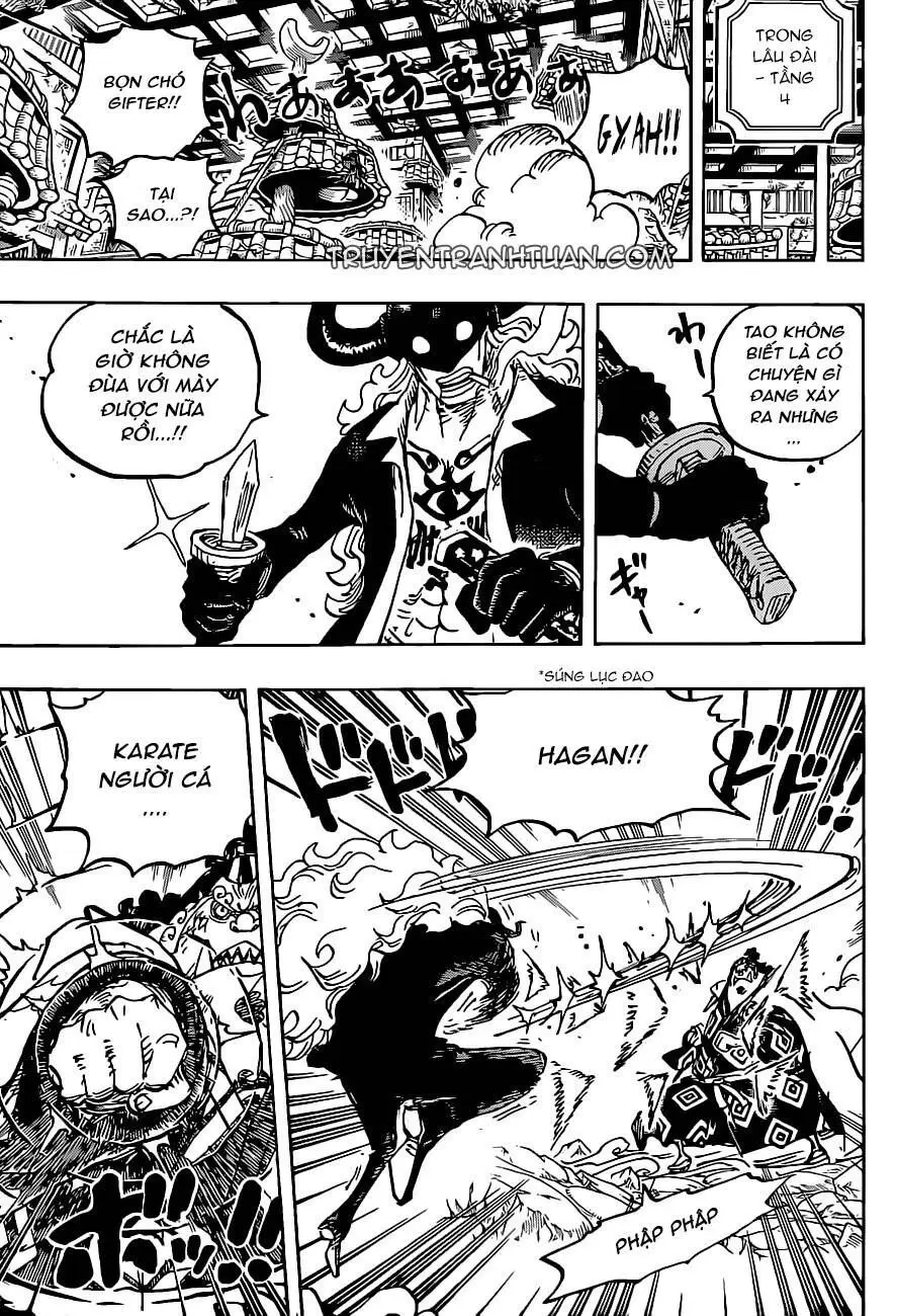 One Piece chương 1017, trang 13