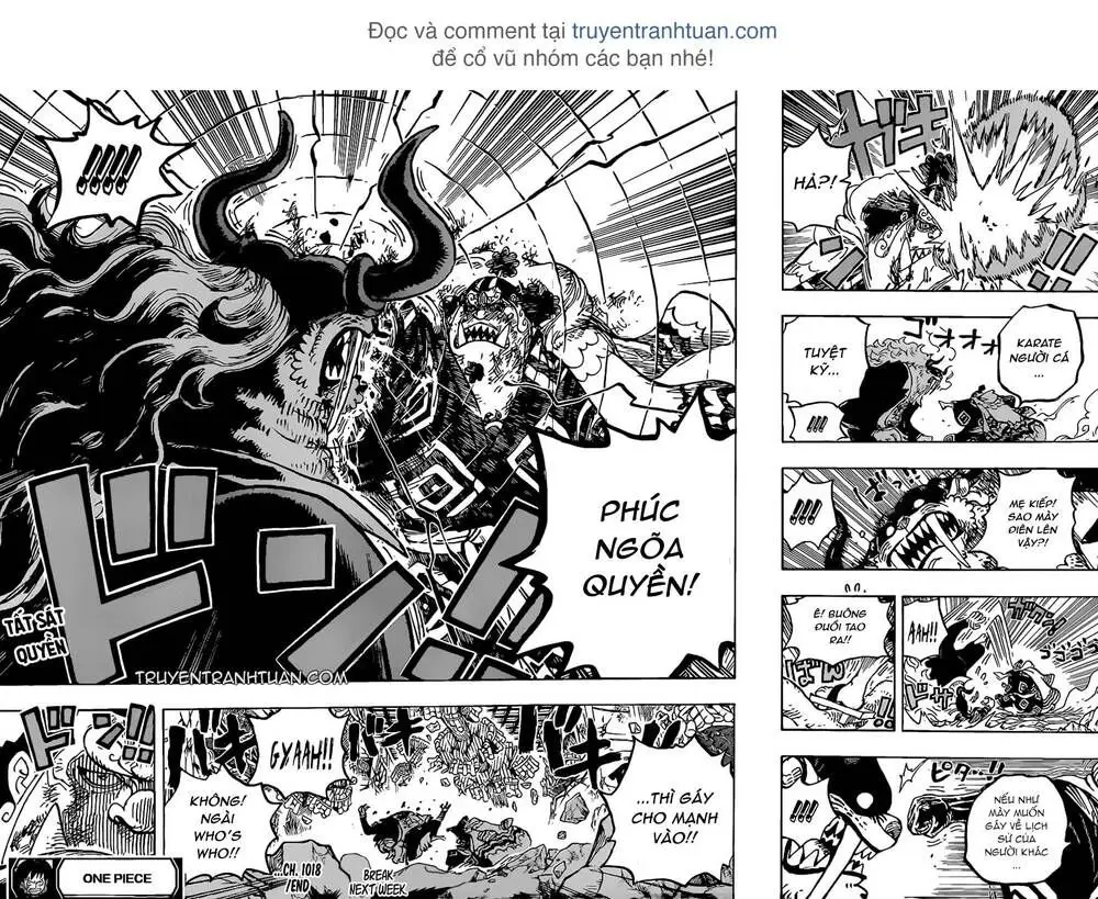 One Piece chương 1018, trang 16