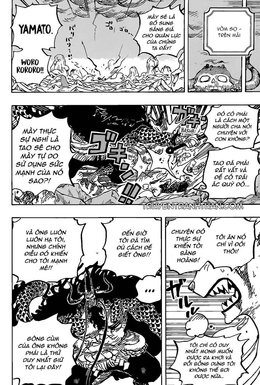 One Piece chương 1019, trang 18