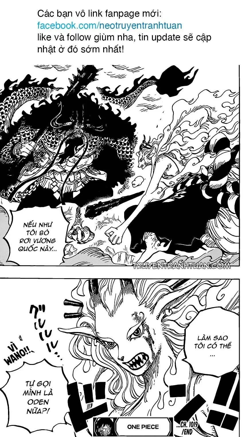 One Piece chương 1019, trang 19