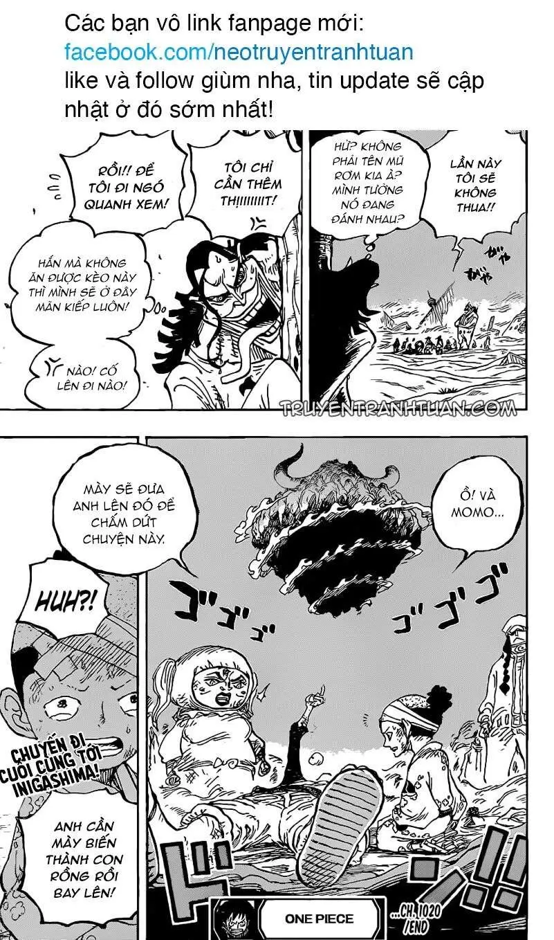 One Piece chương 1020, trang 17