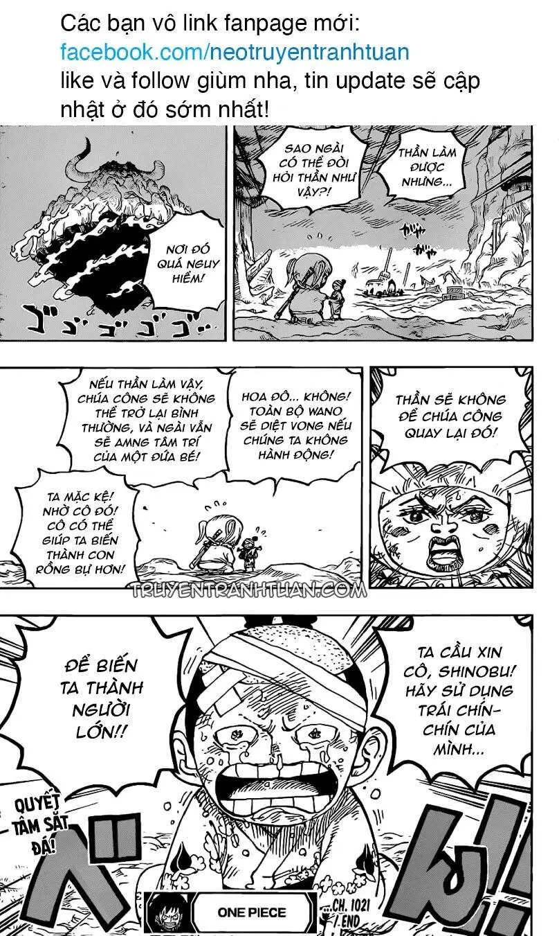 One Piece chương 1021, trang 16