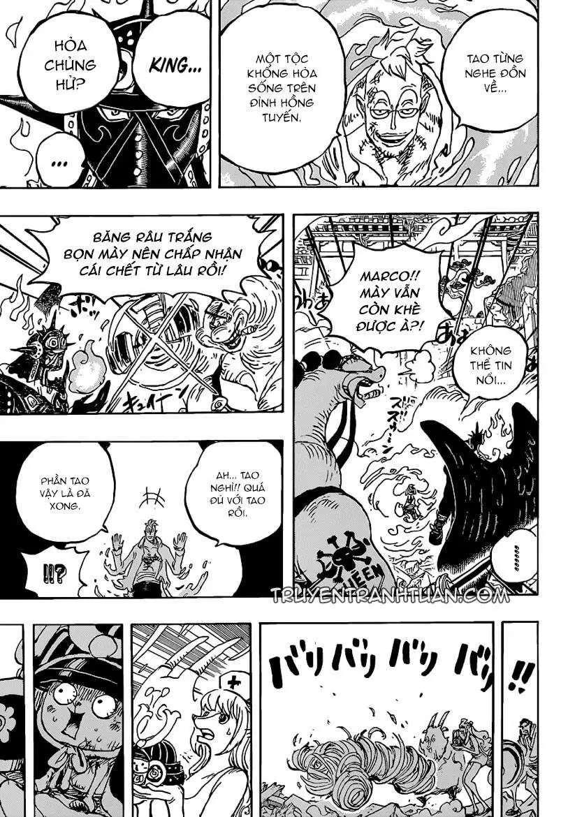 One Piece chương 1022, trang 14
