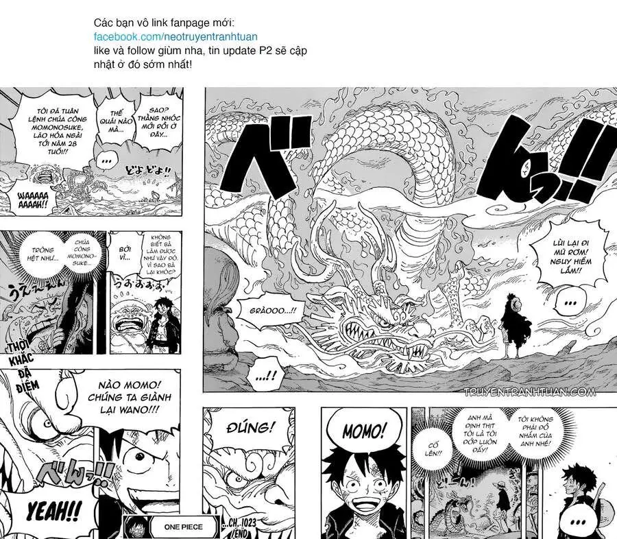 One Piece chương 1023, trang 17
