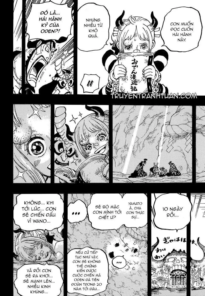 One Piece chương 1024, trang 17