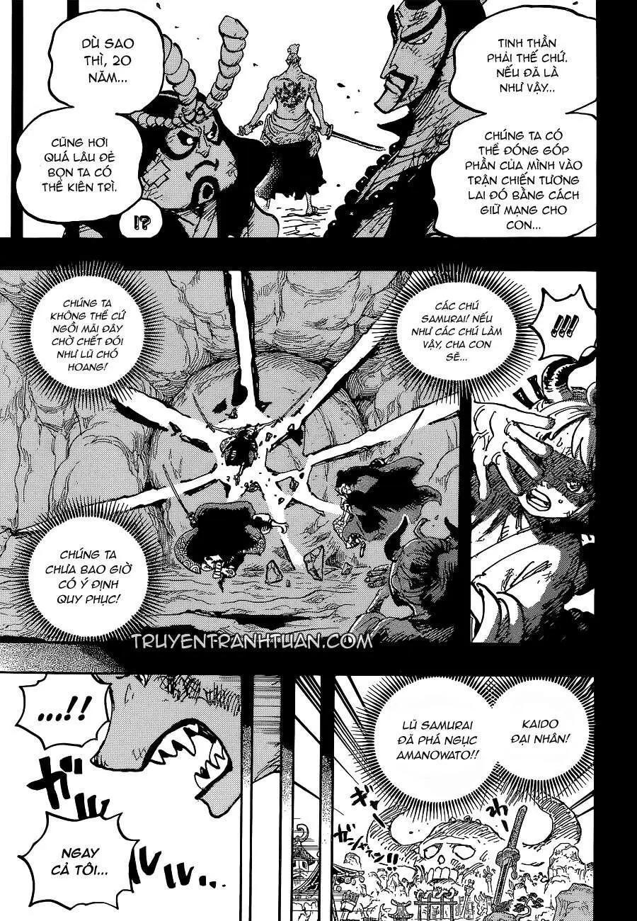 One Piece chương 1024, trang 18