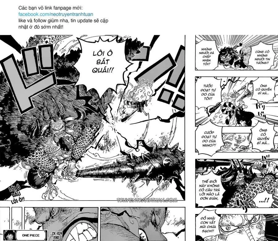 One Piece chương 1024, trang 19