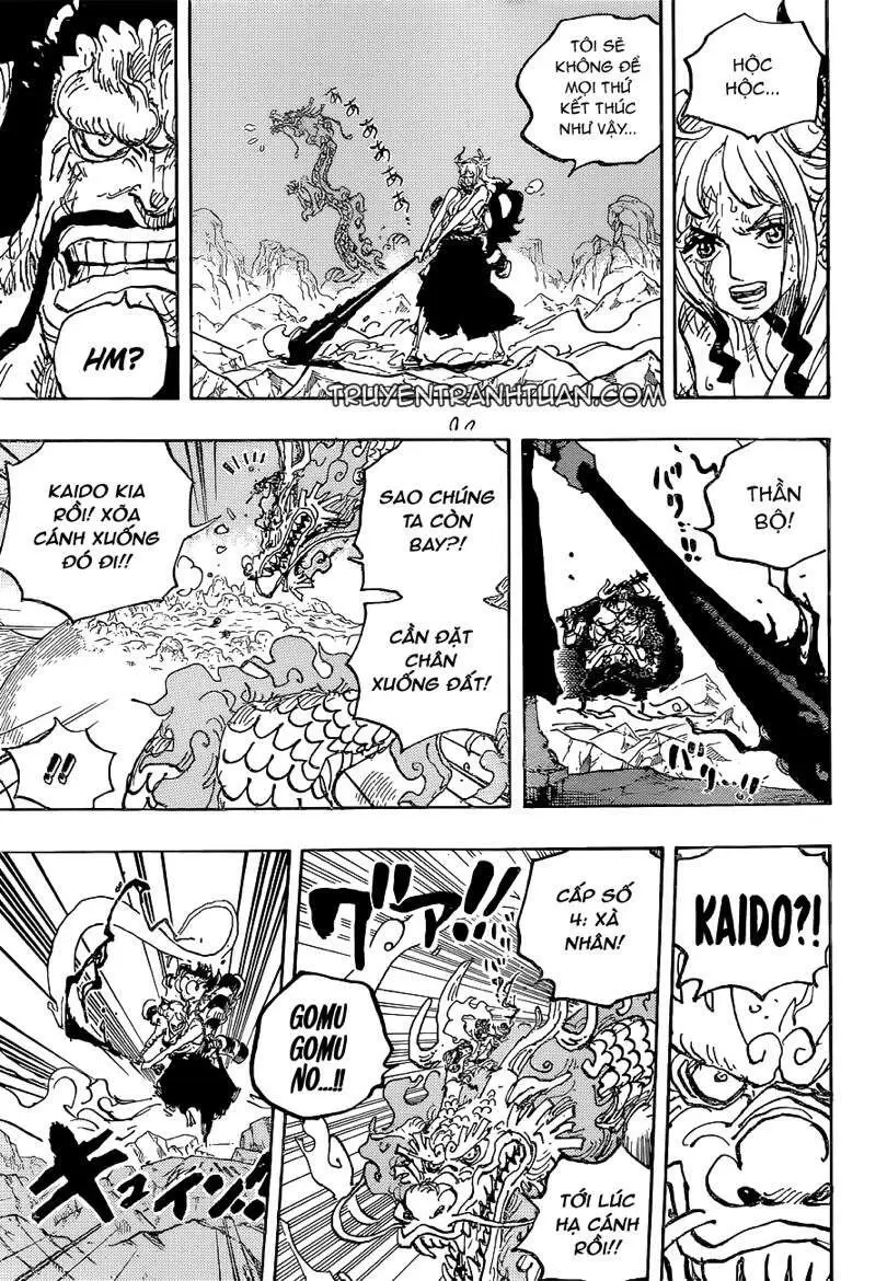 One Piece chương 1025, trang 14