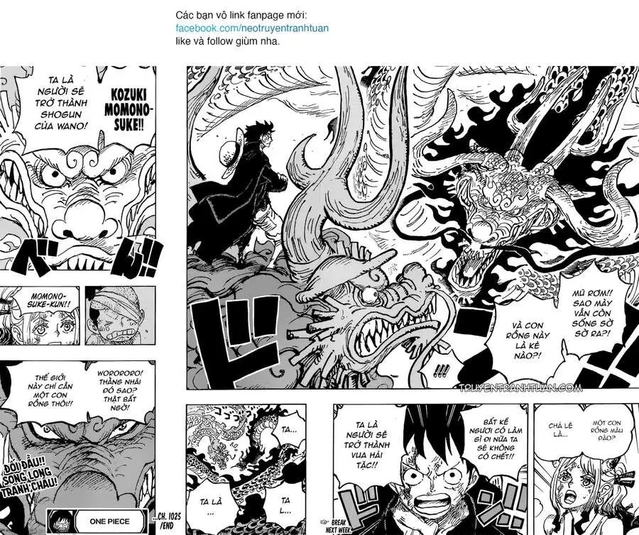 One Piece chương 1025, trang 16