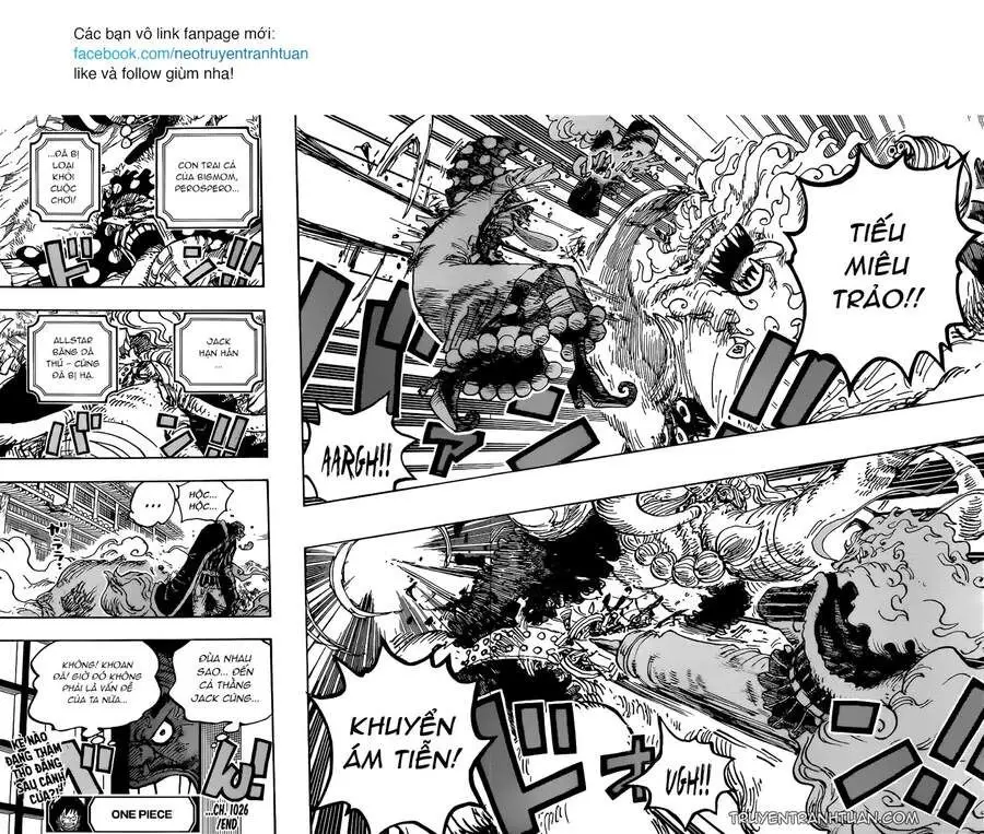 One Piece chương 1026, trang 14
