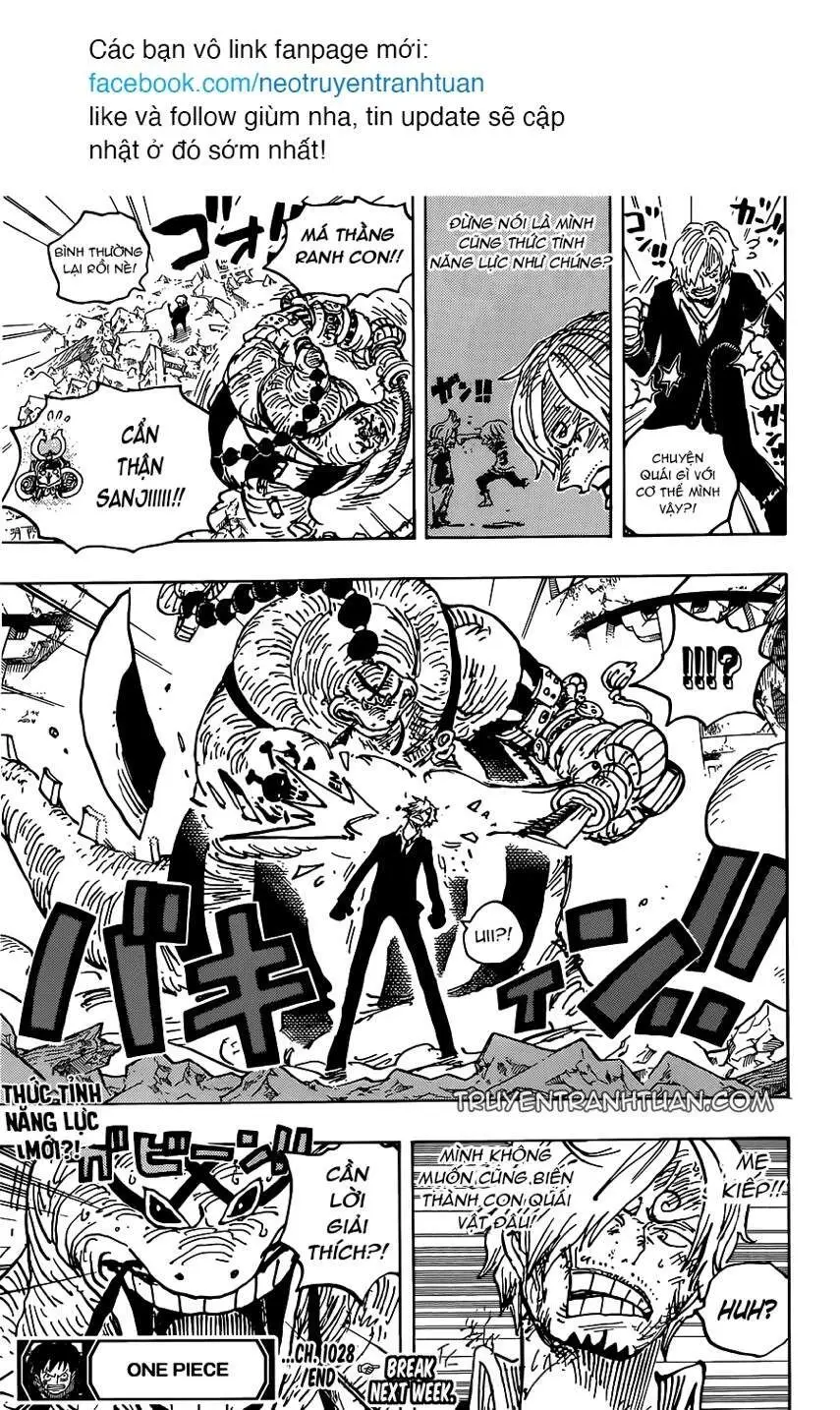 One Piece chương 1028, trang 17