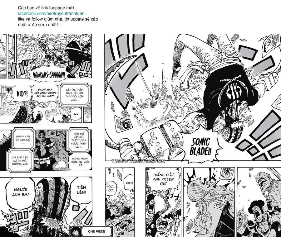 One Piece chương 1029, trang 14
