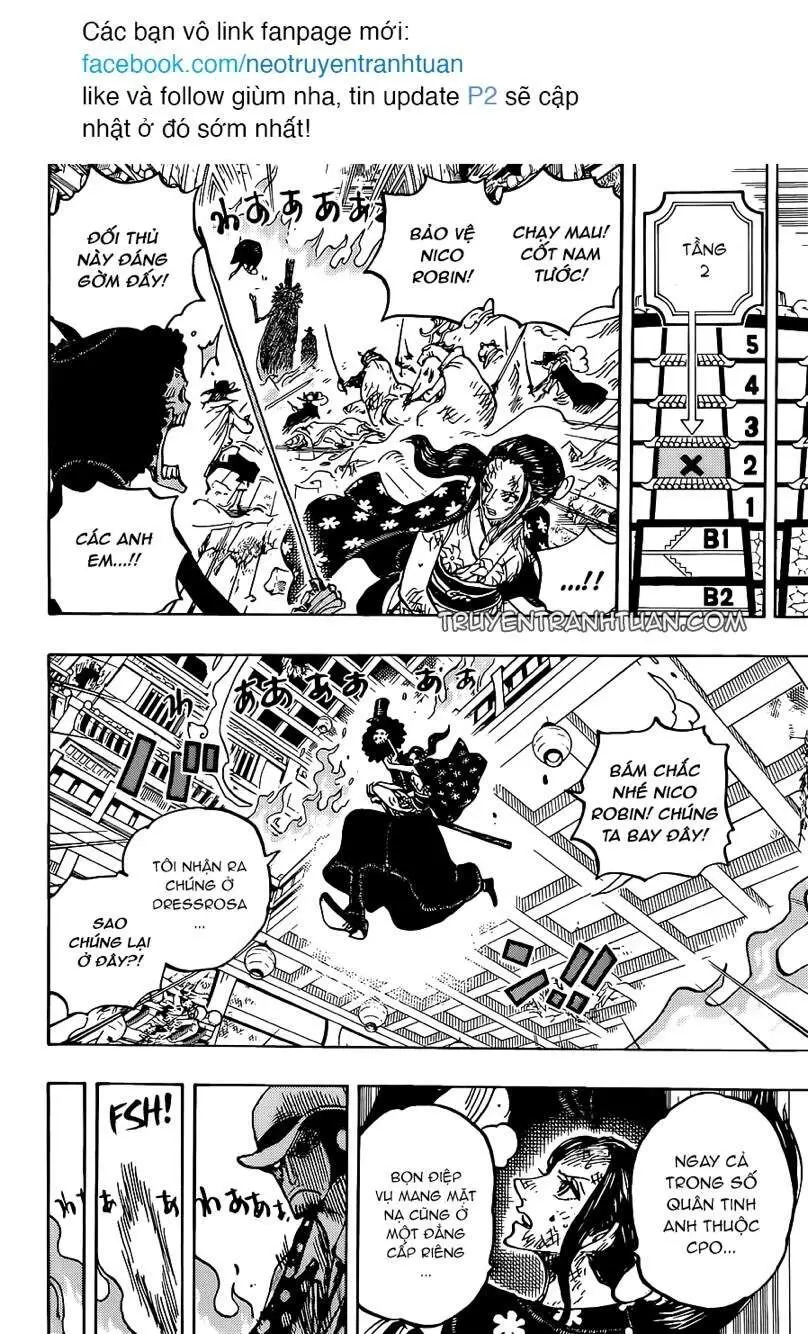 One Piece chương 1031, trang 11