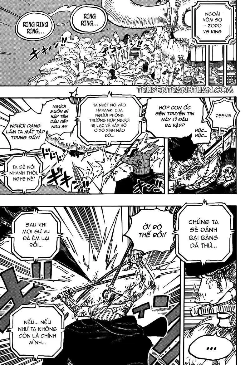 One Piece chương 1031, trang 16