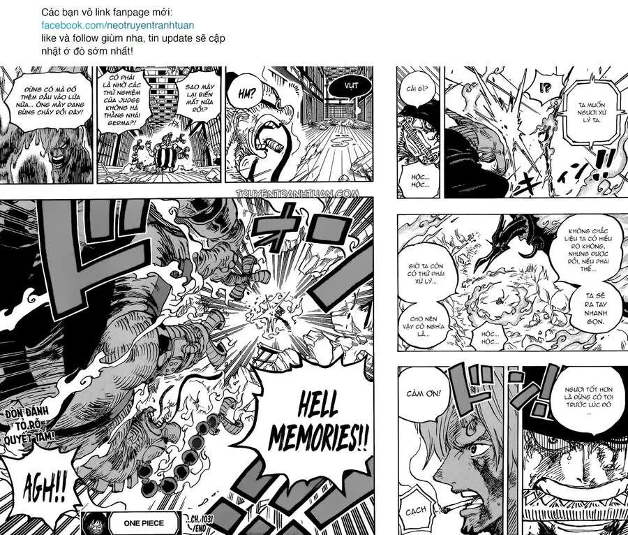 One Piece chương 1031, trang 17