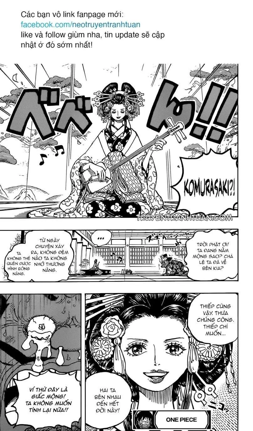 One Piece chương 1032, trang 17