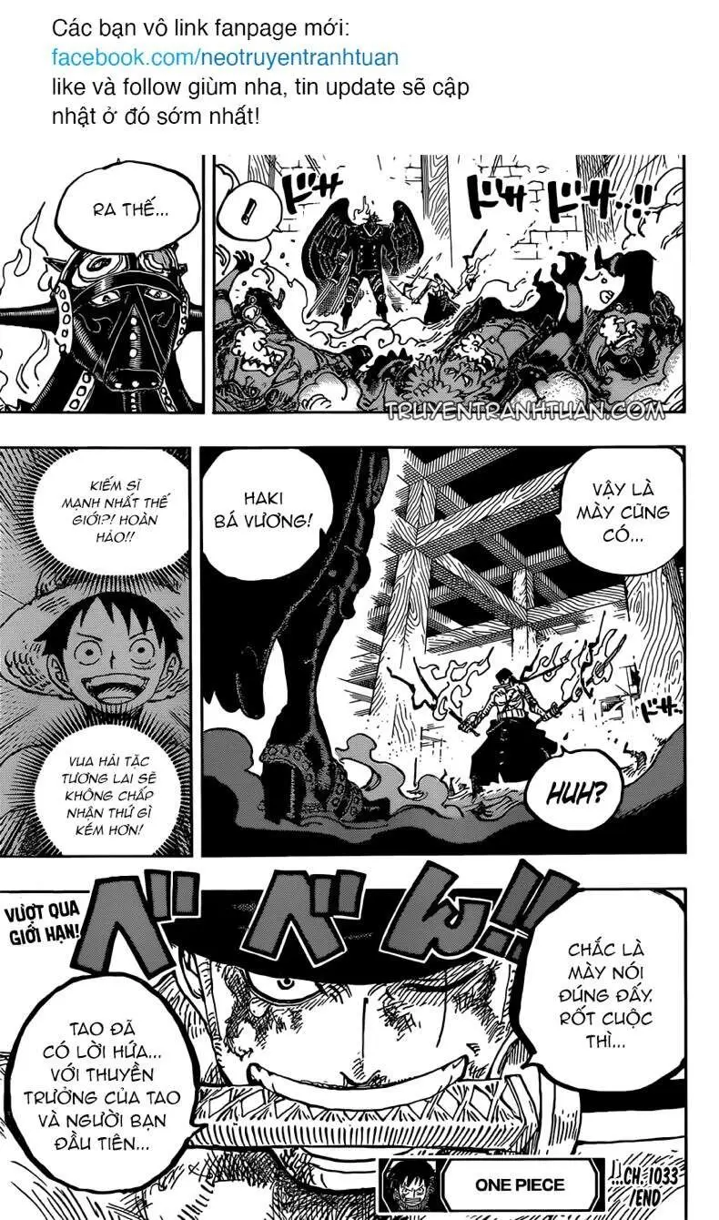 One Piece chương 1033, trang 17
