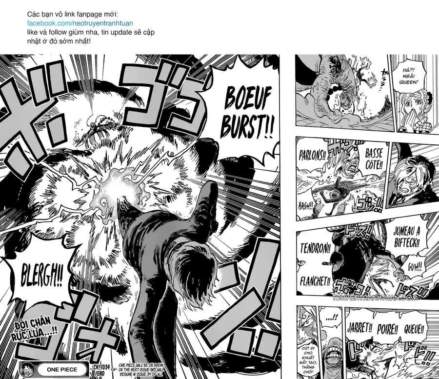 One Piece chương 1034, trang 13