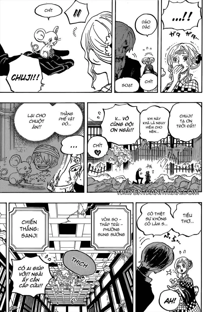 One Piece chương 1035, trang 3