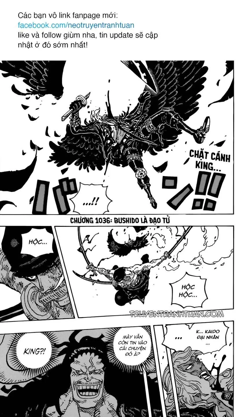 One Piece chương 1036, trang 2