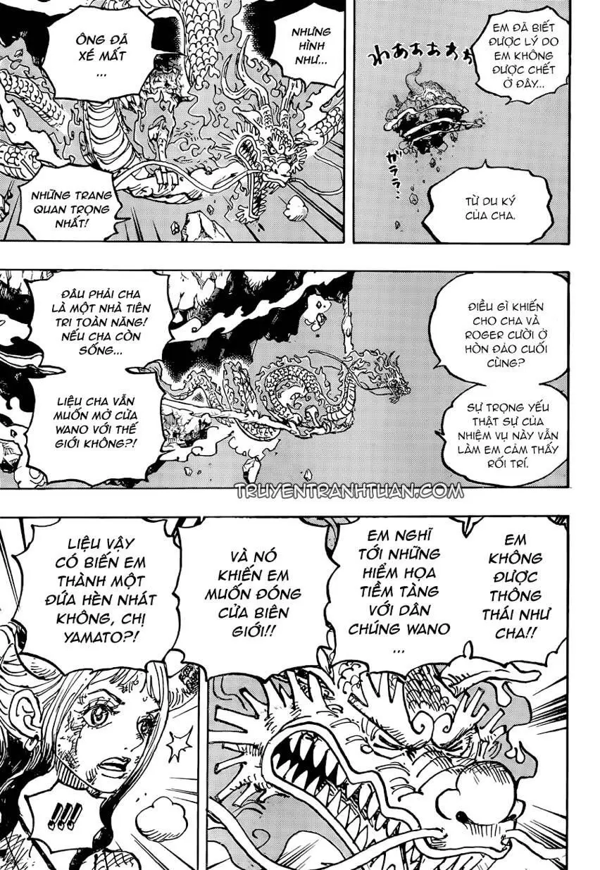 One Piece chương 1041, trang 3