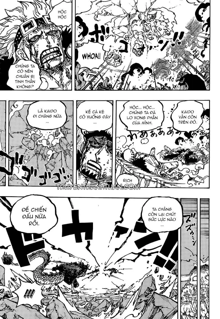 One Piece chương 1041, trang 13
