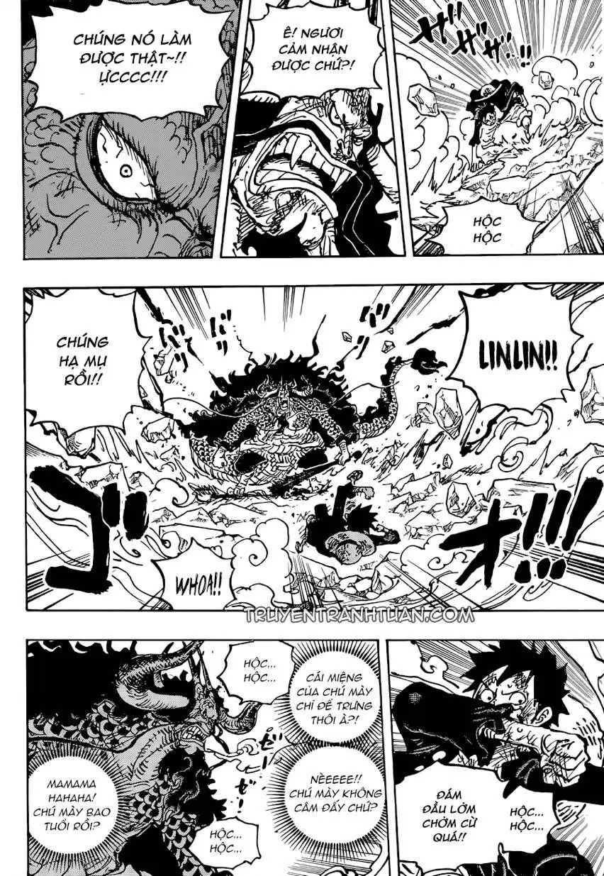 One Piece chương 1041, trang 14