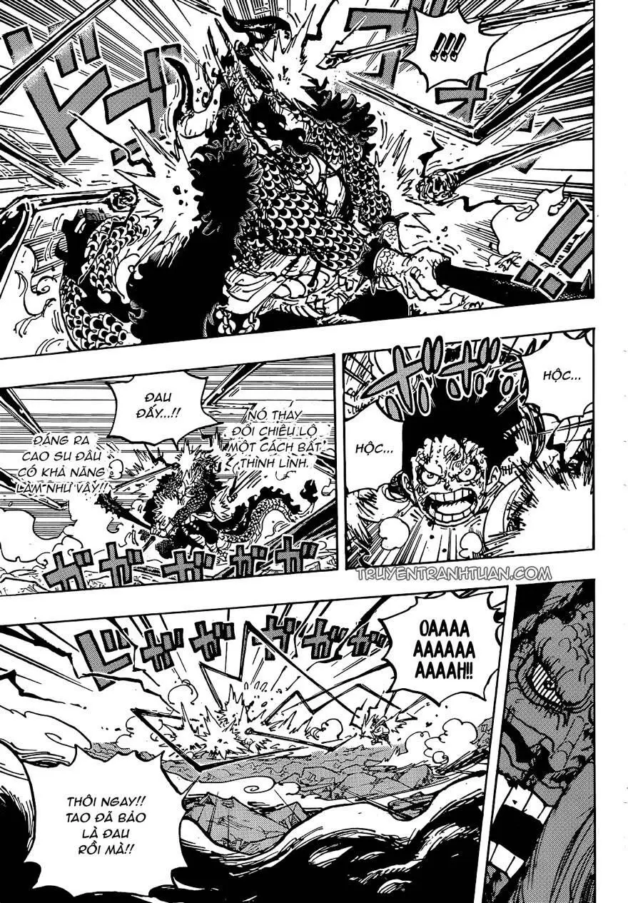 One Piece chương 1042, trang 5