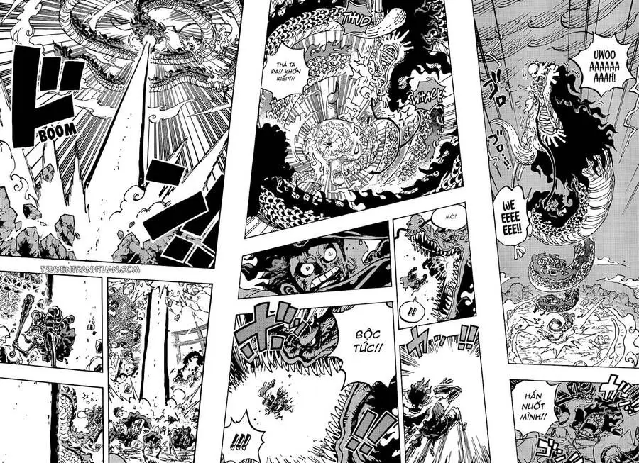 One Piece chương 1042, trang 8