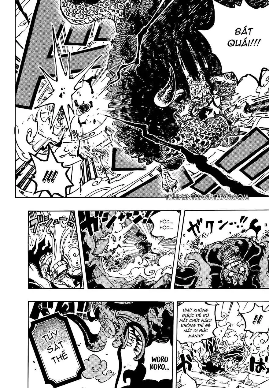 One Piece chương 1042, trang 12