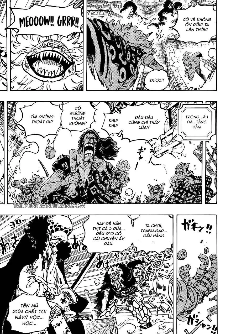 One Piece chương 1043, trang 11