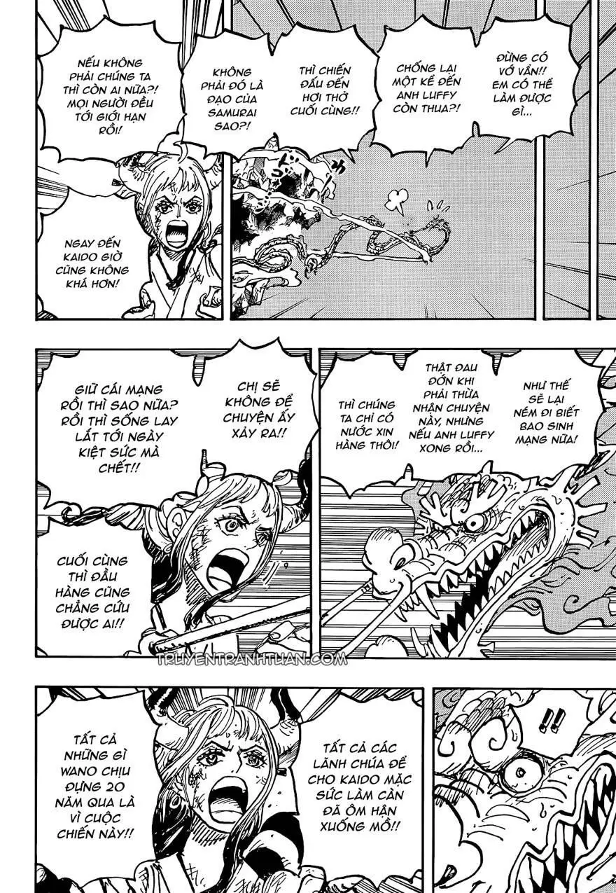 One Piece chương 1043, trang 12